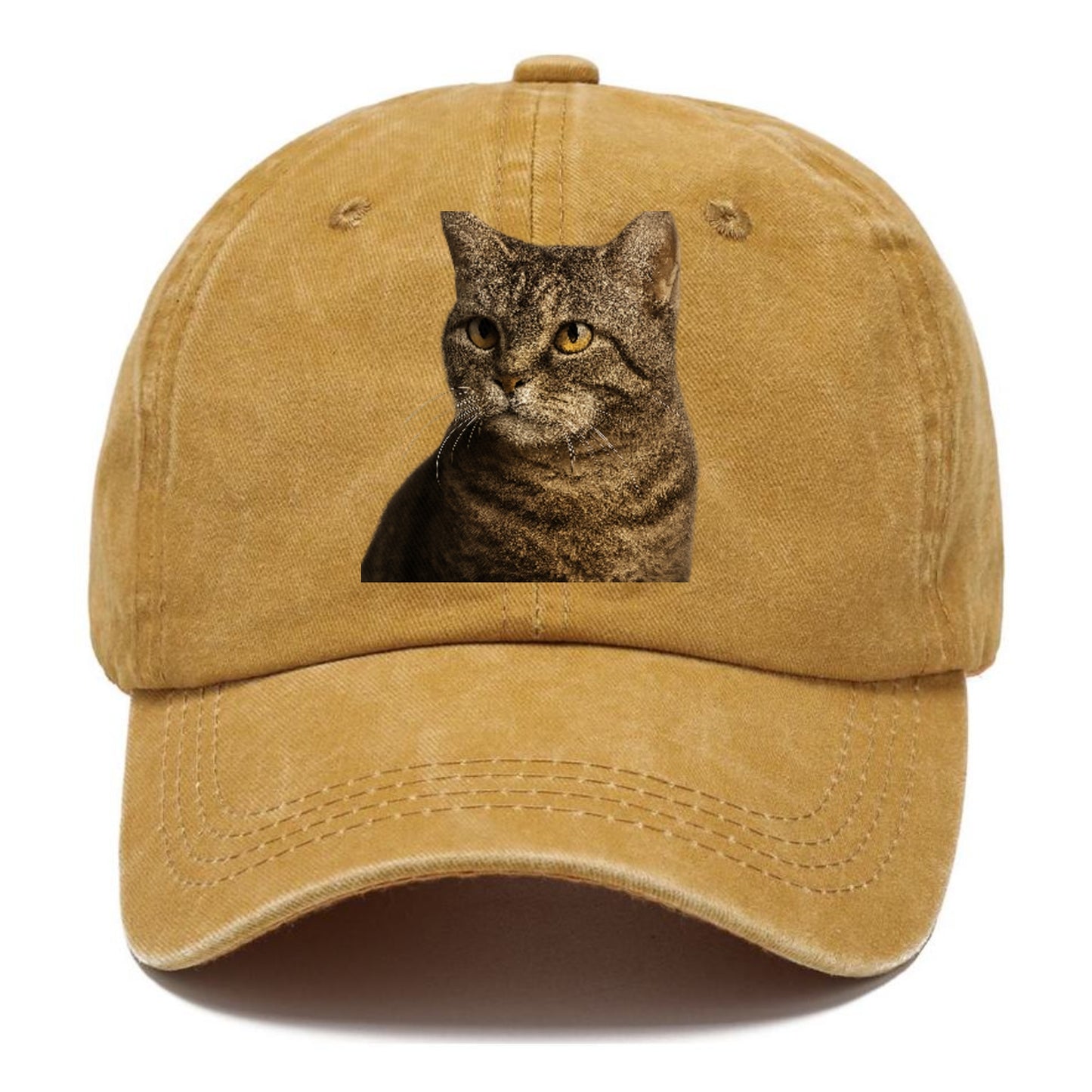 american-wirehair-unique-texture Hat