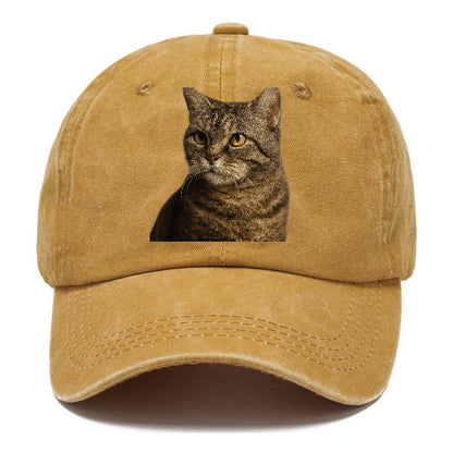american-wirehair-unique-texture Hat