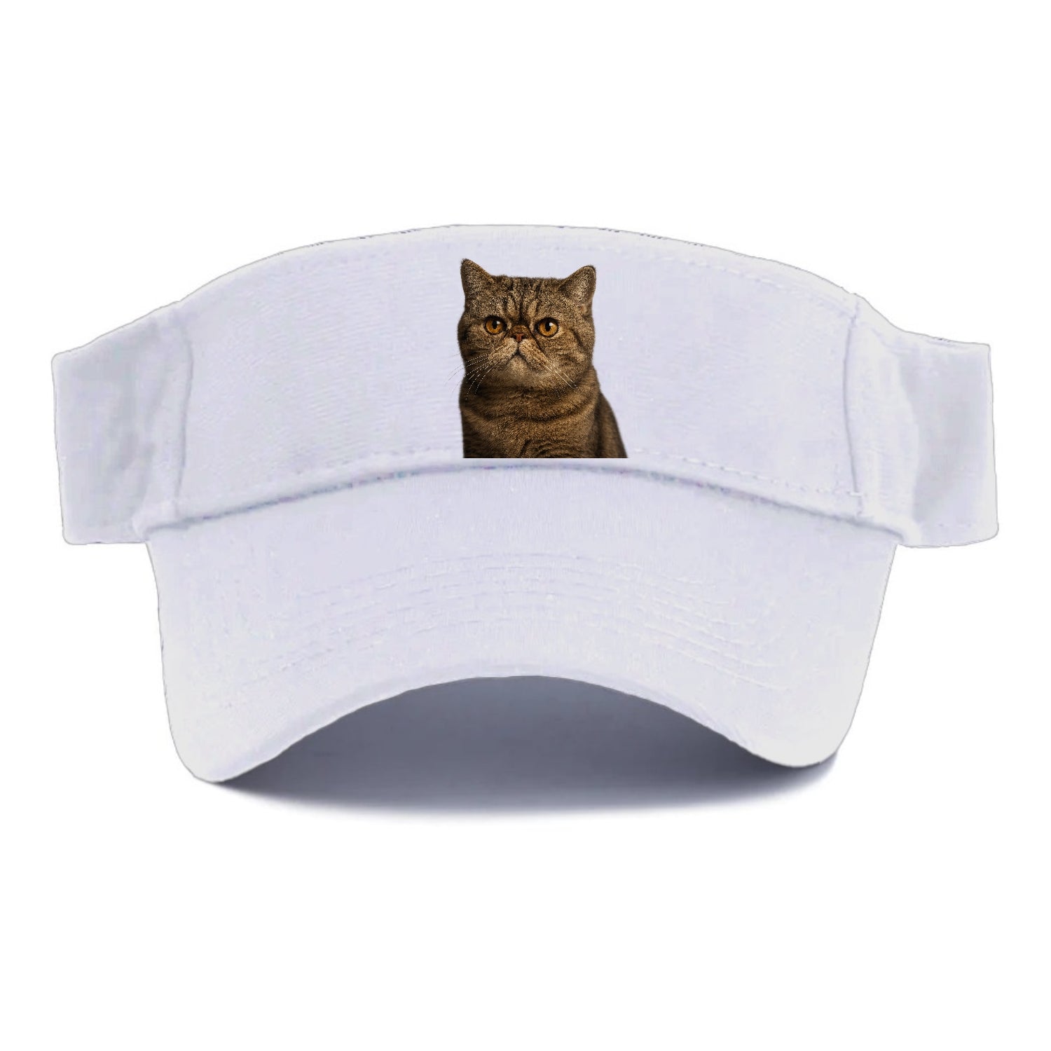 exotic-shorthair-charm Hat