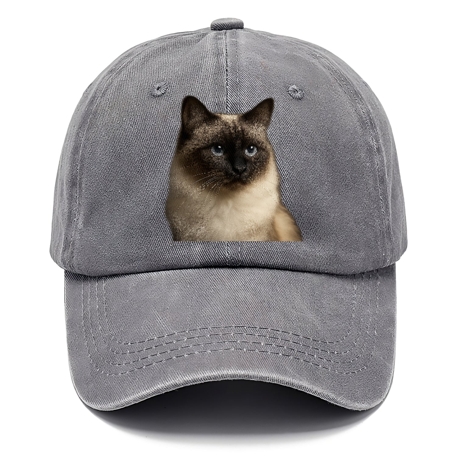 birman-cat-serene-elegance Hat
