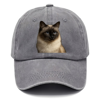 birman-cat-serene-elegance Hat