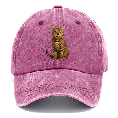 whiskered wonders Hat