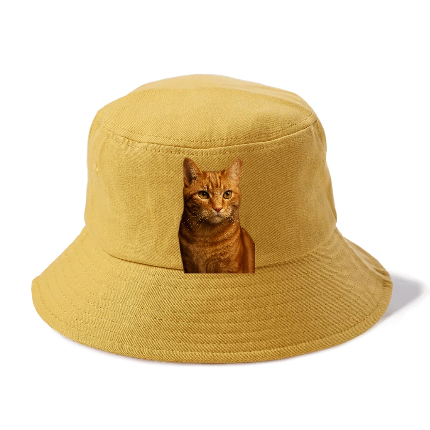 orange-tabby-playful-purr Hat