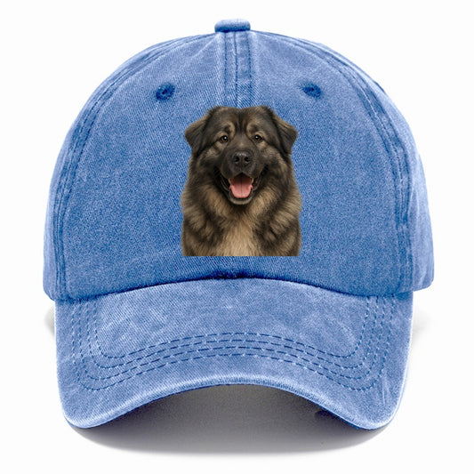 caucasian shepherd noble protector Hat