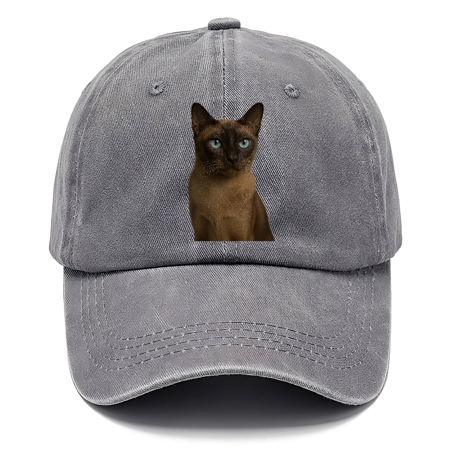 tonkinese-playful-spirit Hat