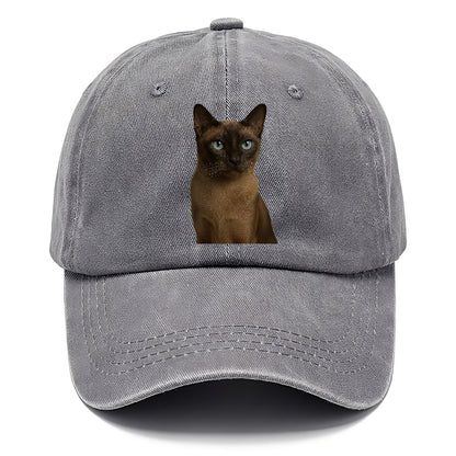 tonkinese-playful-spirit Hat