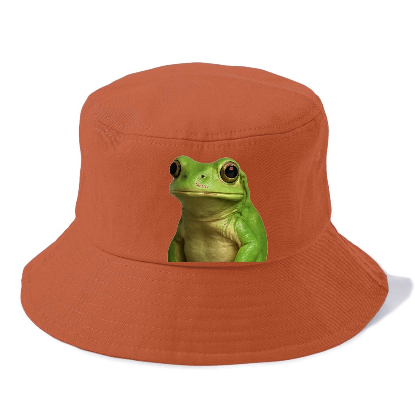 frog portrait design Hat