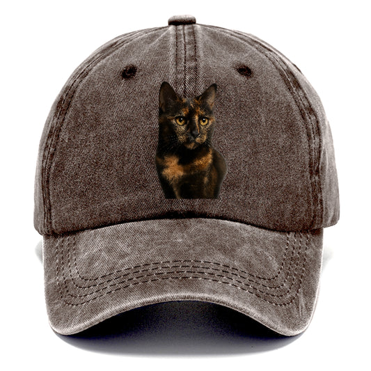 tortie-mix-artistic-charm Hat