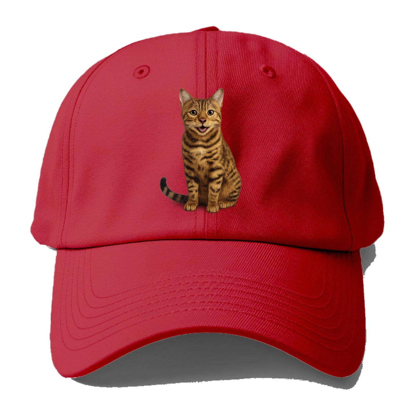 whiskered wonders Hat