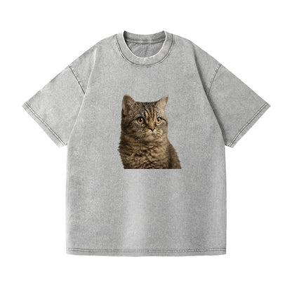 lambkin-sweet-gentle-spirit Hat