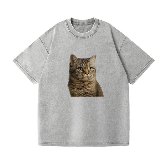 lambkin-sweet-gentle-spirit Hat