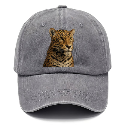 jaguar-stealthy-grace Hat