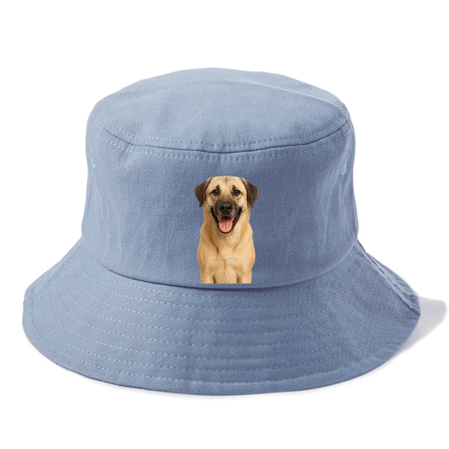anatolian shepherd portrait design Hat