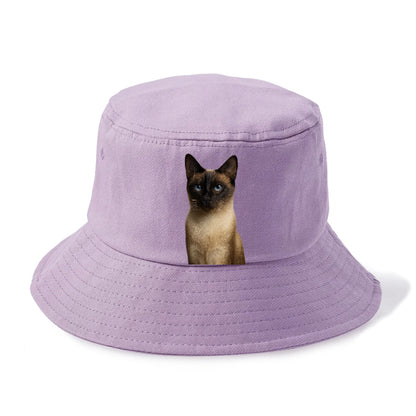 seal-point-siamese-mystical-charm Hat