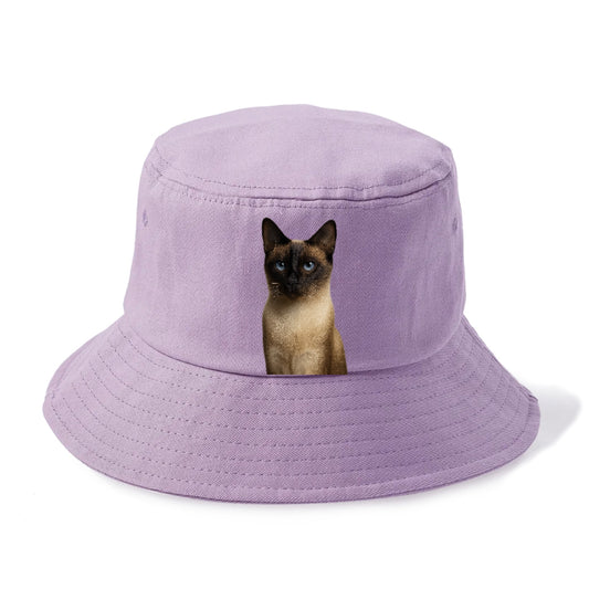 seal-point-siamese-mystical-charm Hat