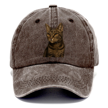 alert-cat-ready-radiant Hat