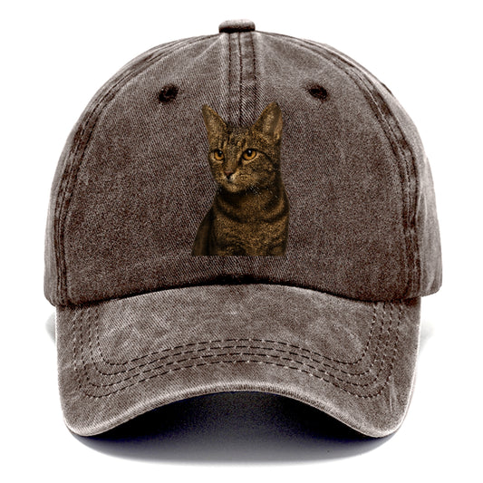 alert-cat-ready-radiant Hat