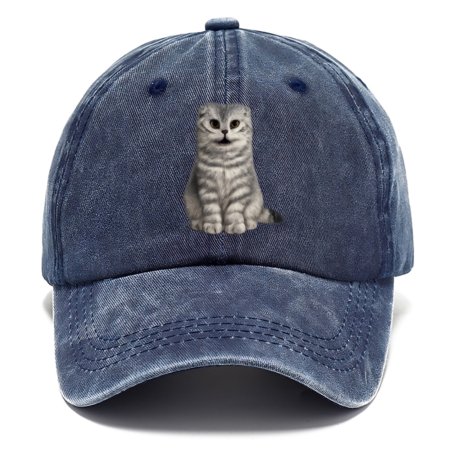 surprised striped cat whimsical portrait Hat