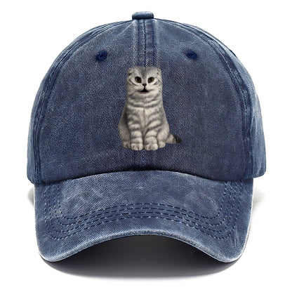 surprised striped cat whimsical portrait Hat