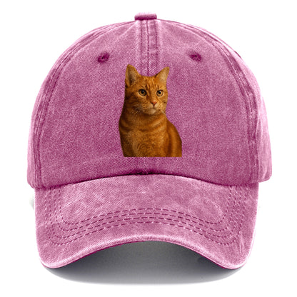 ginger-cat-warmth Hat