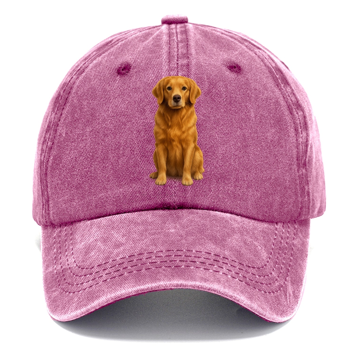 golden retriever portrait on brown background Hat