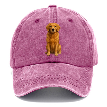golden retriever portrait on brown background Hat