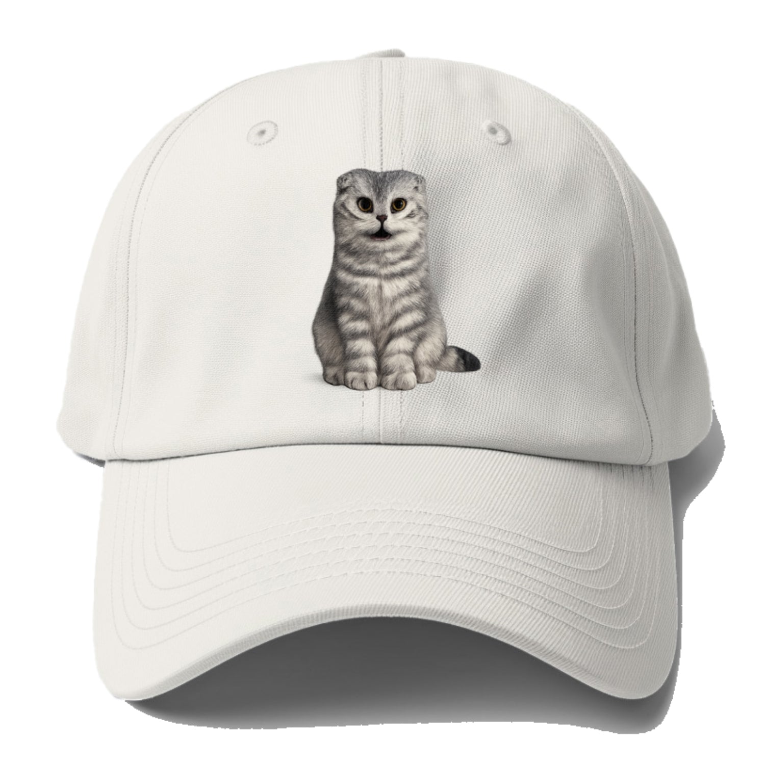 surprised striped cat whimsical portrait Hat