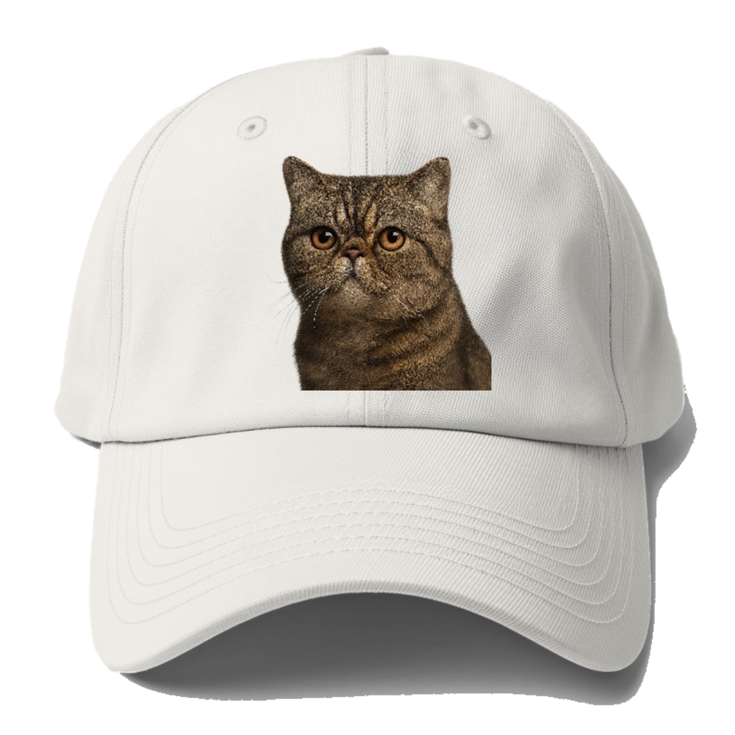 exotic-shorthair-calm-demeanor Hat