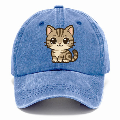 american-shorthair-charming-cat Hat