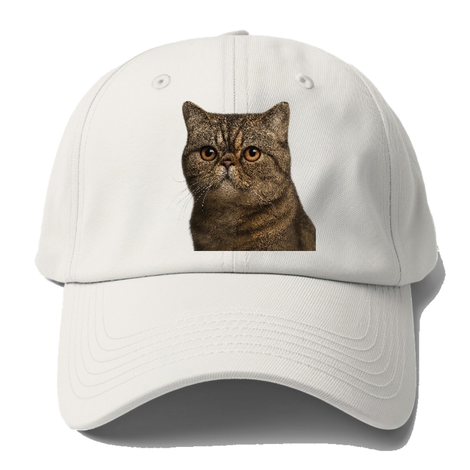 exotic-shorthair-calm-demeanor Hat