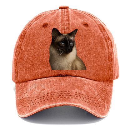 javanese-mystic-aura Hat