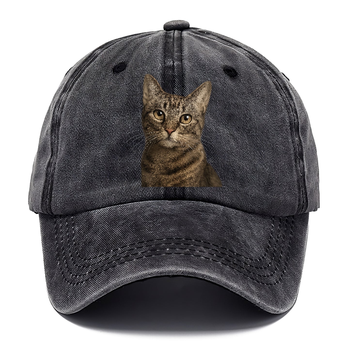 curious-cat-inquisitive-nature Hat