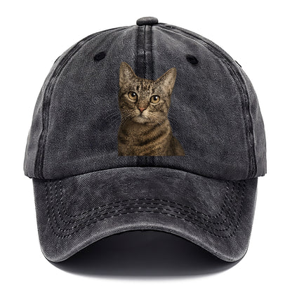 curious-cat-inquisitive-nature Hat