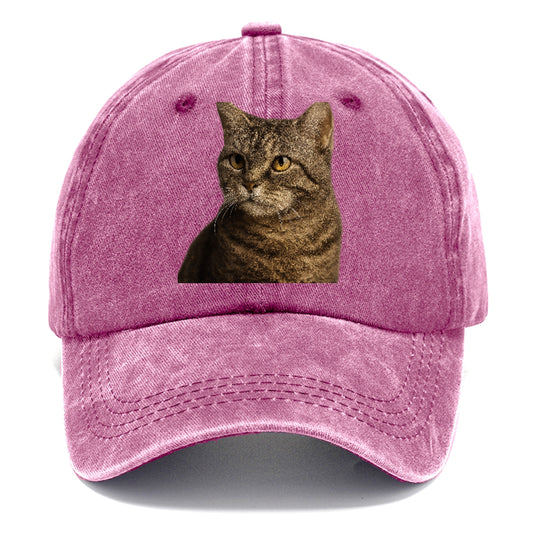 american-wirehair-unique-texture Hat