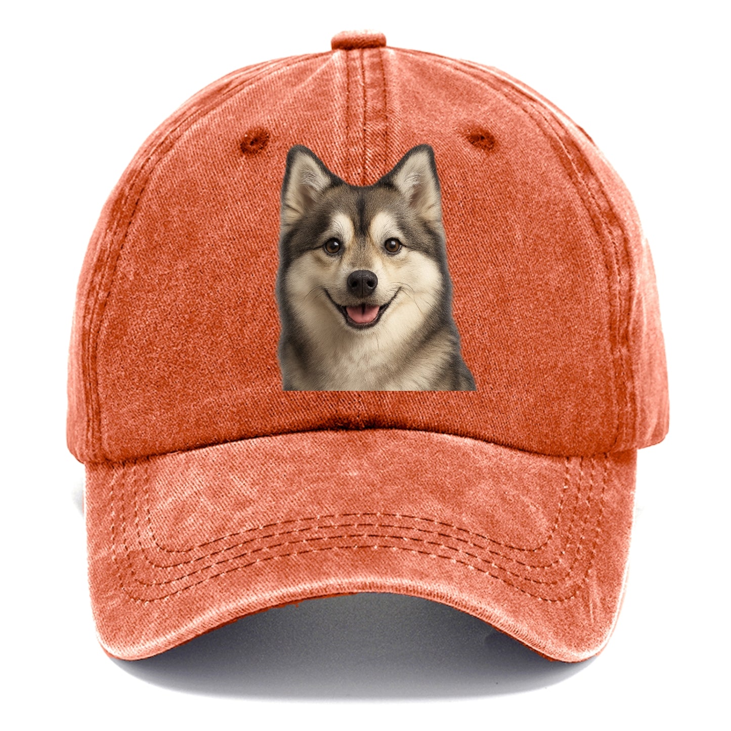 pomsky portrait design Hat