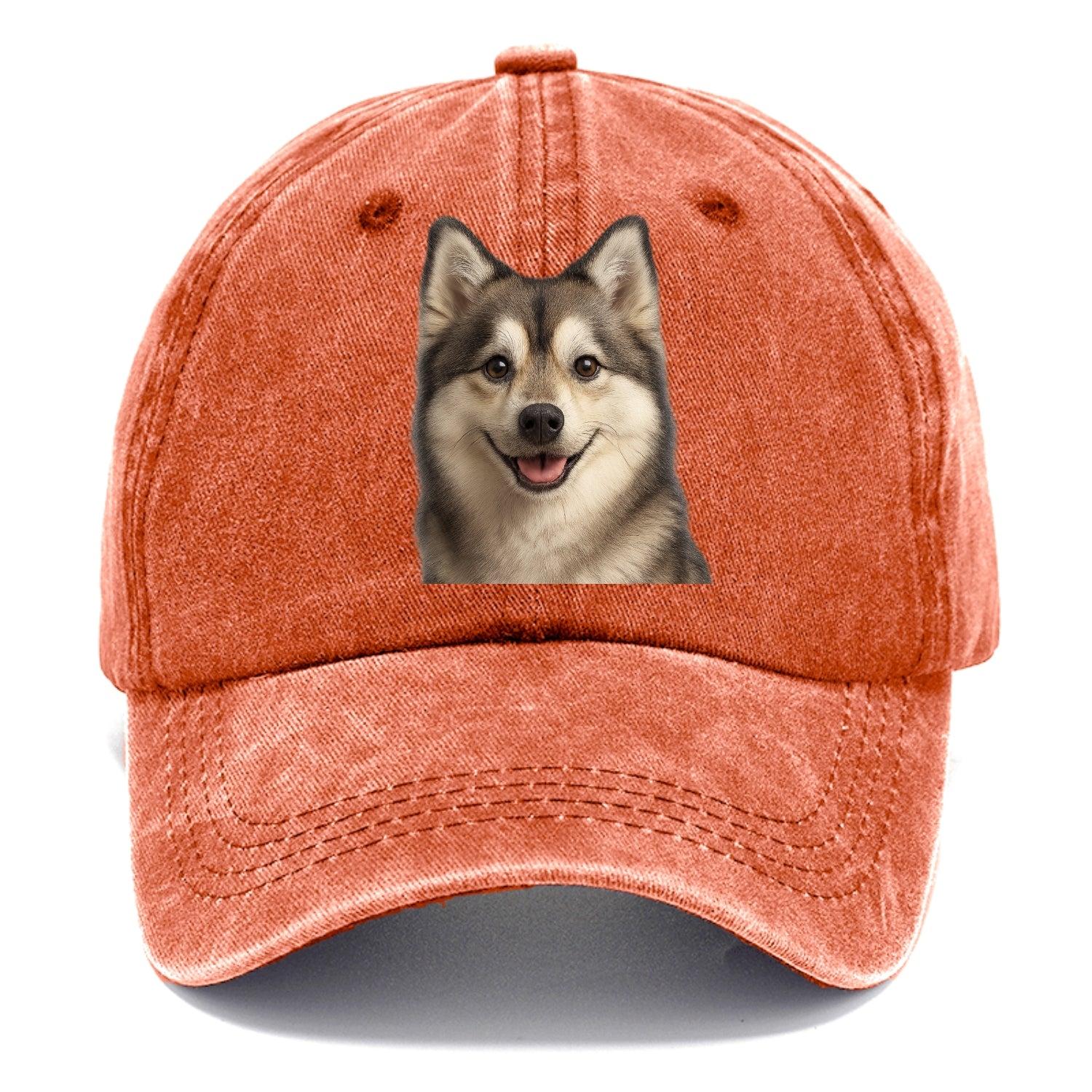 pomsky portrait design Hat
