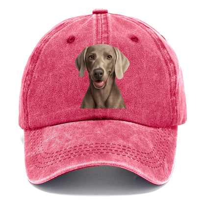 weimaraner portrait design Hat