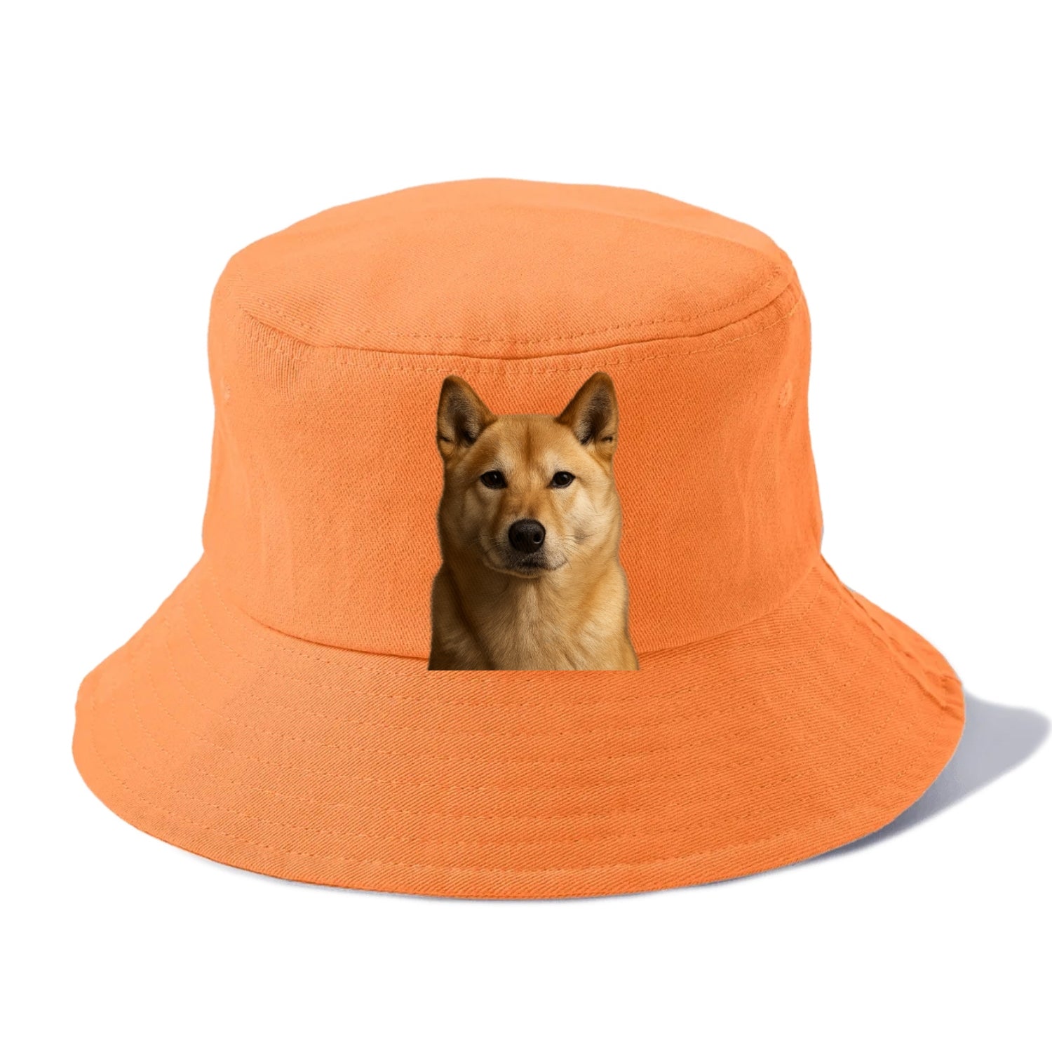 guardian Hat