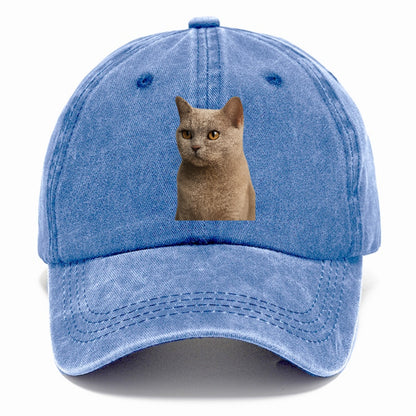 lilac-cat-mystical-charm Hat