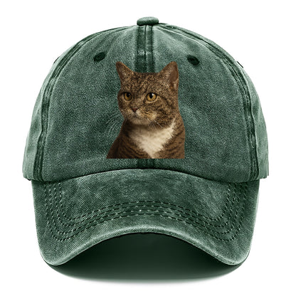 american-wirehair-unique-charm Hat
