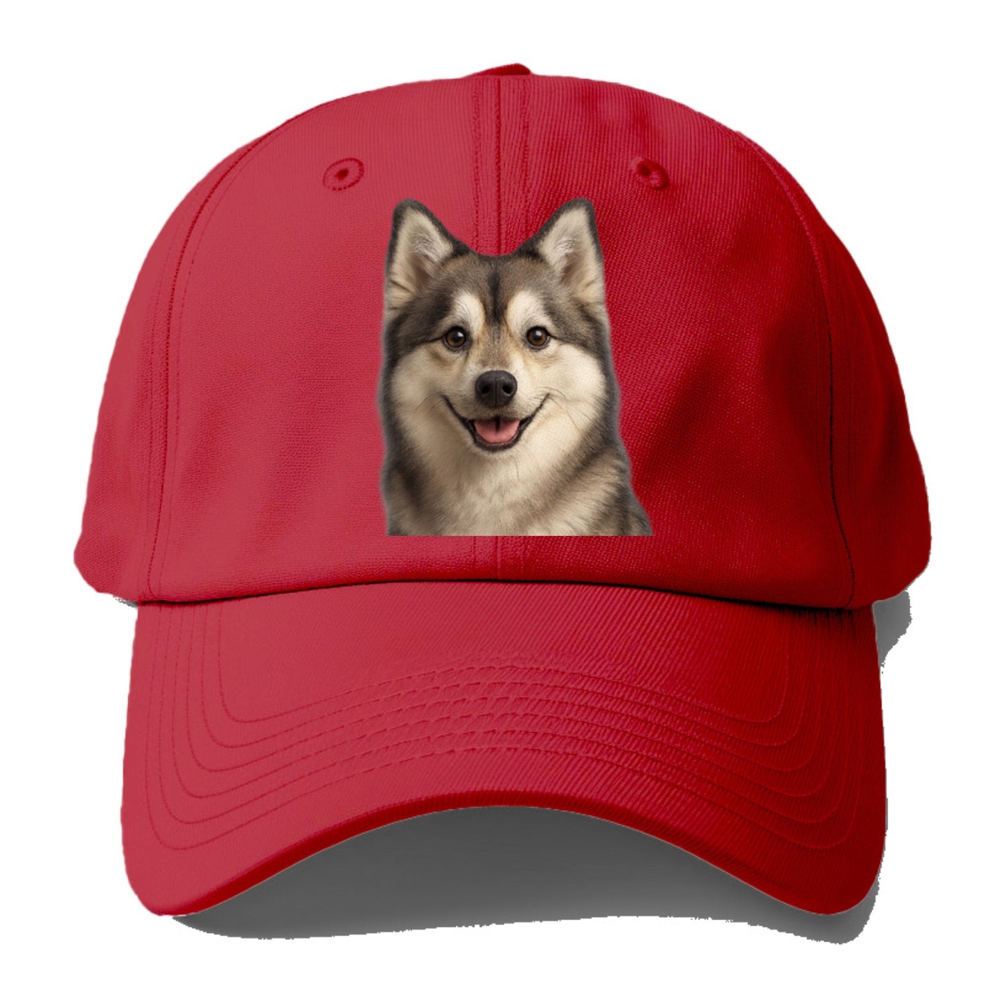 pomsky portrait design Hat