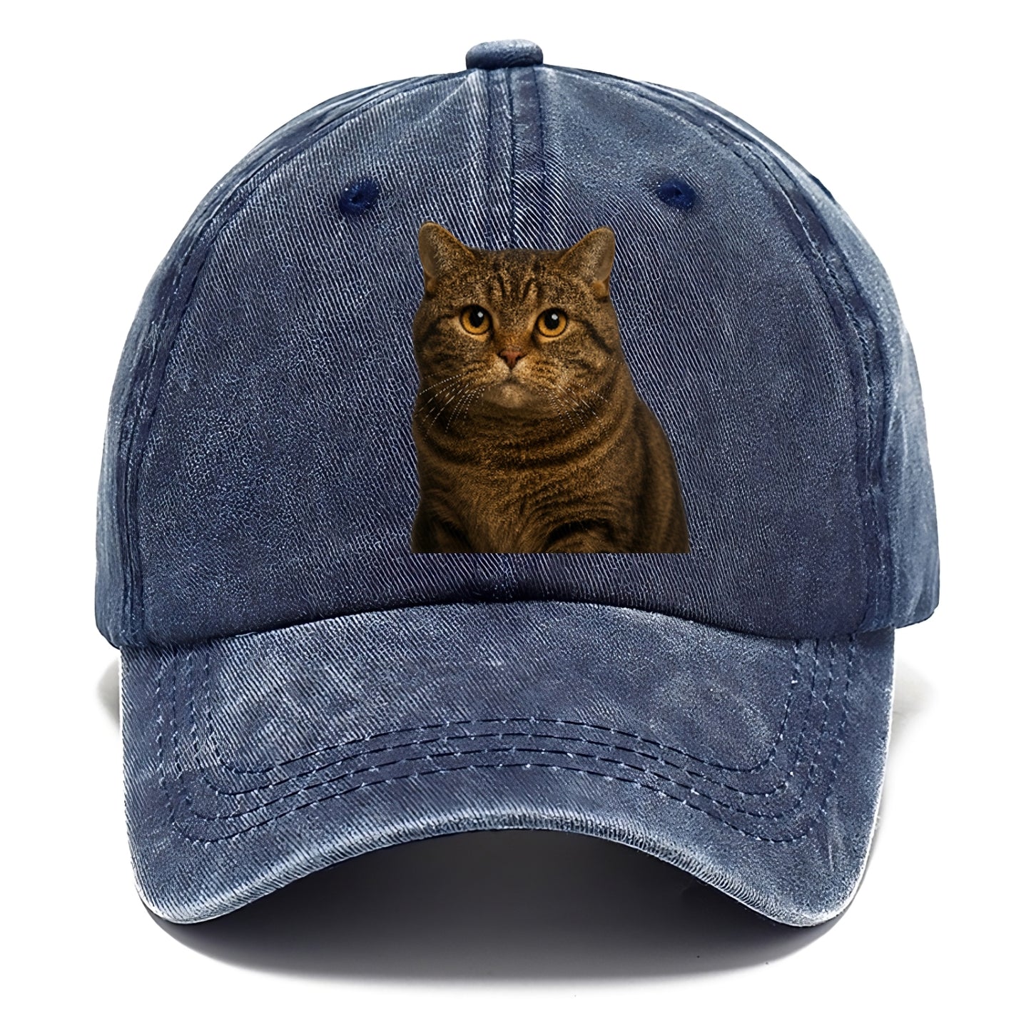 manx-cat-distinct-charm Hat