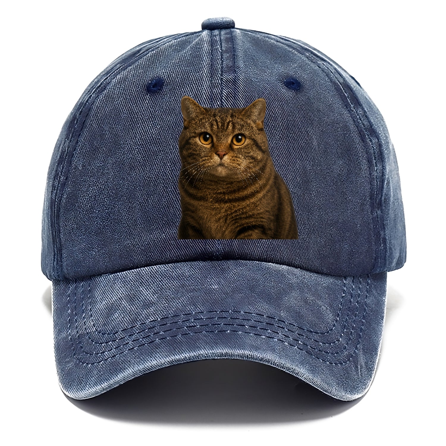 manx-cat-distinct-charm Hat
