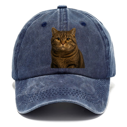 manx-cat-distinct-charm Hat