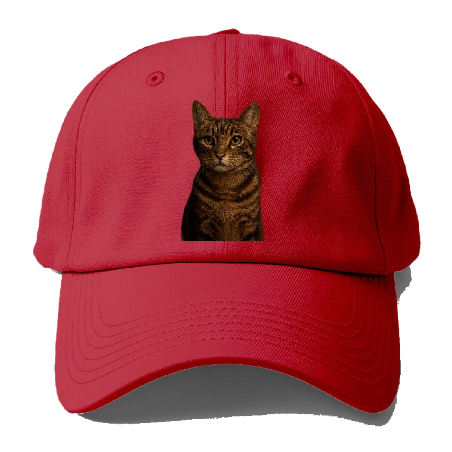 brown-tabby-playful-spirit Hat
