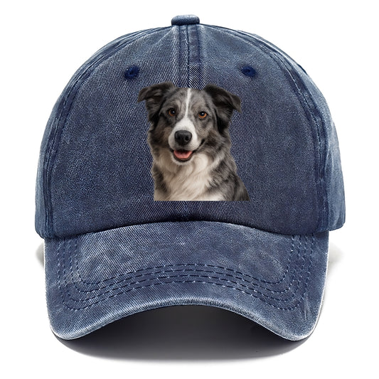 blue merle border collie agile mind Hat