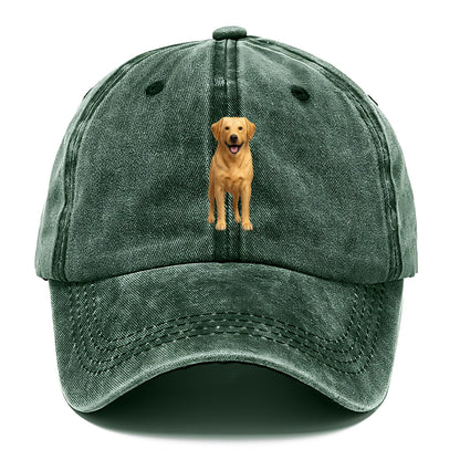 happy golden labrador retriever portrait Hat