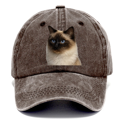 ragdoll-gentle-charm Hat
