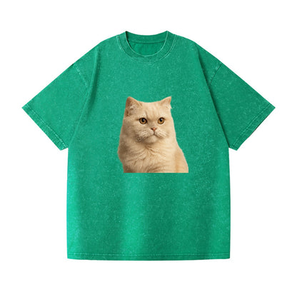 cream-persian-fluffy-elegance Hat