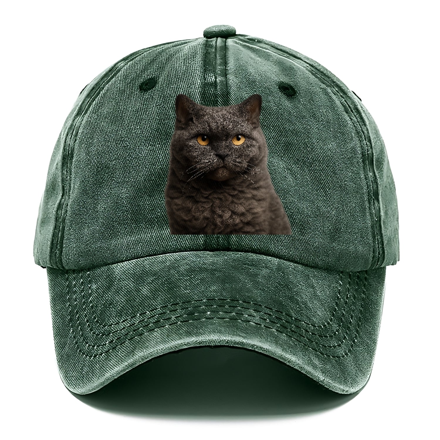 selkirk-rex-curly-charm Hat